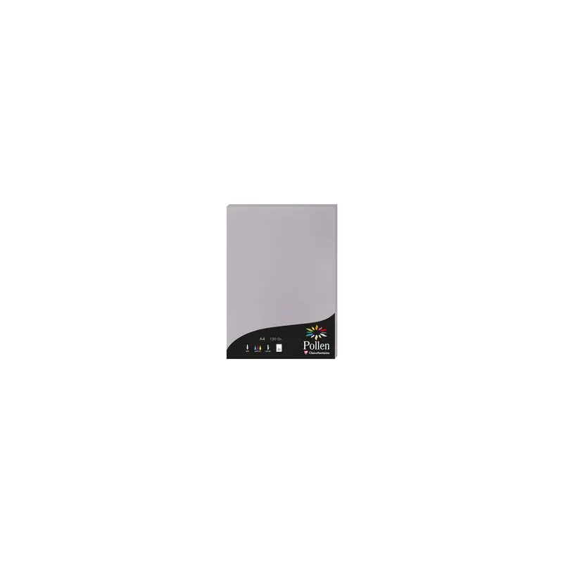 Remise Pollen by Clairefontaine, Papier A4, 210x297mm, gris koala, 4232C