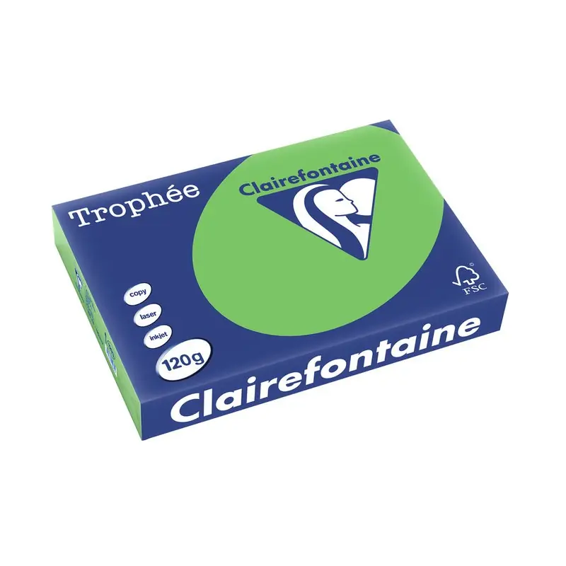 Acheter Direct Clairefontaine, Papier universel, Trophée, A4, 120g, vert menthe, 1293C