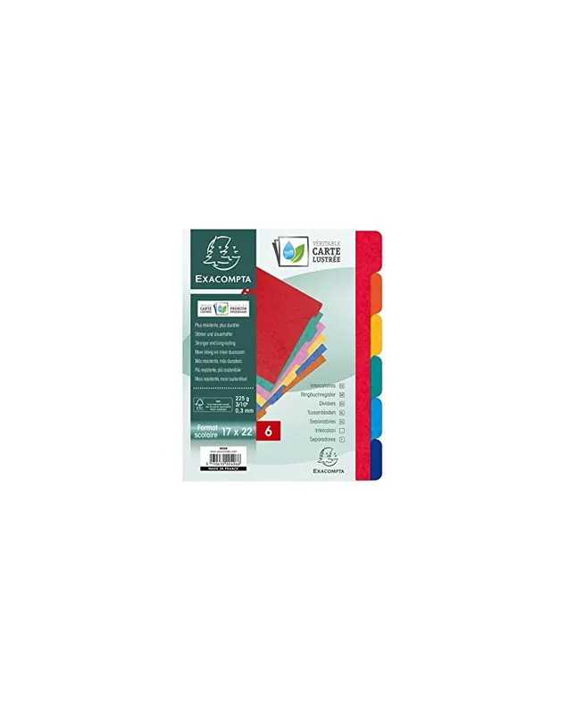 Seulement Aujourd’hui Exacompta, Intercalaires en carte, 170 x 220 mm, 225G, 6 positions, 406E
