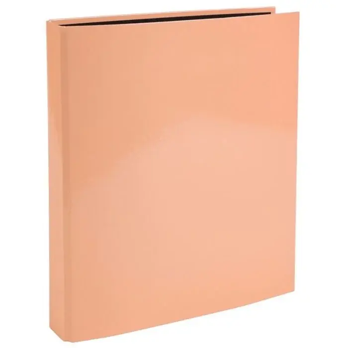 Prix Promo Classeur rigide à 4 anneaux en D – Dos 40 mm – Corail EXACOMPTA Aquarel