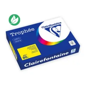 Acheter Direct Clairefontaine Papier A4 couleur Trophée – 80 g – Ramette de 500 feuilles – Jaune Soleil