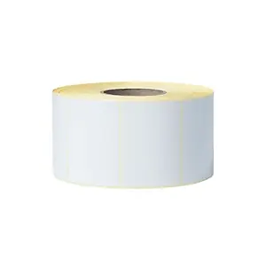 Jusqu’à Épuisement Des Stocks Brother BCS1J074102203, Blanc, Étiquette découpée, Transfert thermique, Rectangle, TJ-4020TN, TJ-4120TN, TJ-4021TN, TJ-4121TN, 10,2 cm BCS-1J074102-20
