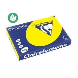 Achetez Aujourd’hui Clairefontaine Papier A3 couleur Trophée – 80g – Ramette de 500 feuilles – Jaune Intense